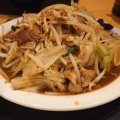 実際訪問したユーザーが直接撮影して投稿した日野南ラーメン / つけ麺十五家の写真