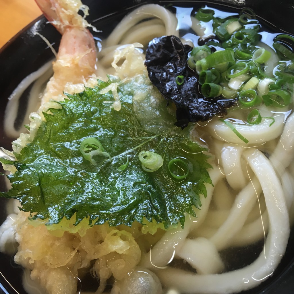 ユーザーが投稿した天ぷらうどんの写真 - 実際訪問したユーザーが直接撮影して投稿した流岡町うどん本場かなくま餅 福田の写真