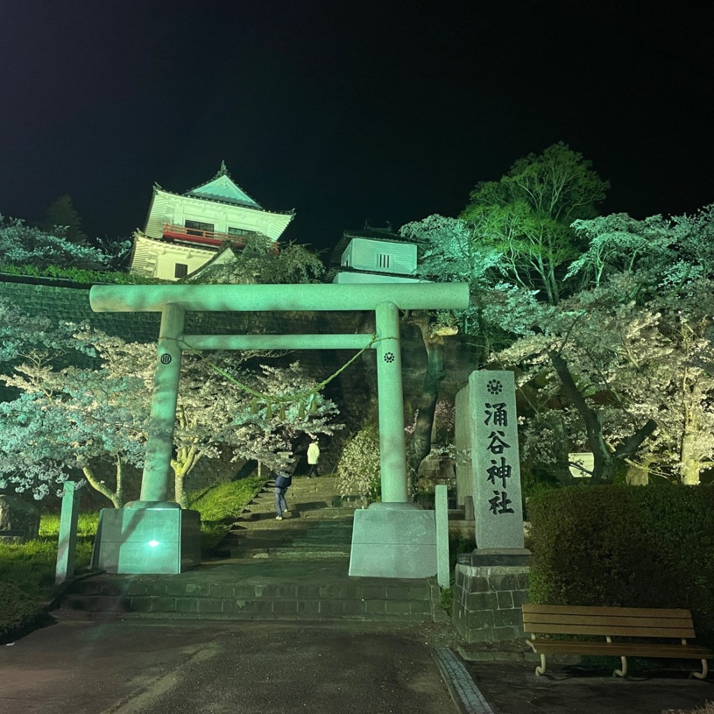 実際訪問したユーザーが直接撮影して投稿した涌谷神社涌谷神社の写真