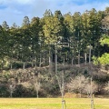 実際訪問したユーザーが直接撮影して投稿した大山公園大山公園の写真