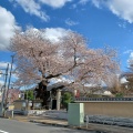 実際訪問したユーザーが直接撮影して投稿した台町寺信松院の写真