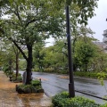 実際訪問したユーザーが直接撮影して投稿した小石川地域名所播磨坂の写真