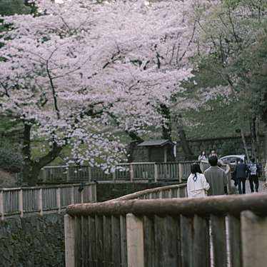 北区立音無親水公園のundefinedに実際訪問訪問したユーザーunknownさんが新しく投稿した新着口コミの写真