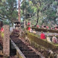 実際訪問したユーザーが直接撮影して投稿した高野山寺金剛峯寺 奥之院の写真