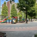 実際訪問したユーザーが直接撮影して投稿した南大井公園大井坂下公園の写真