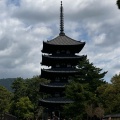 実際訪問したユーザーが直接撮影して投稿した登大路町寺興福寺の写真