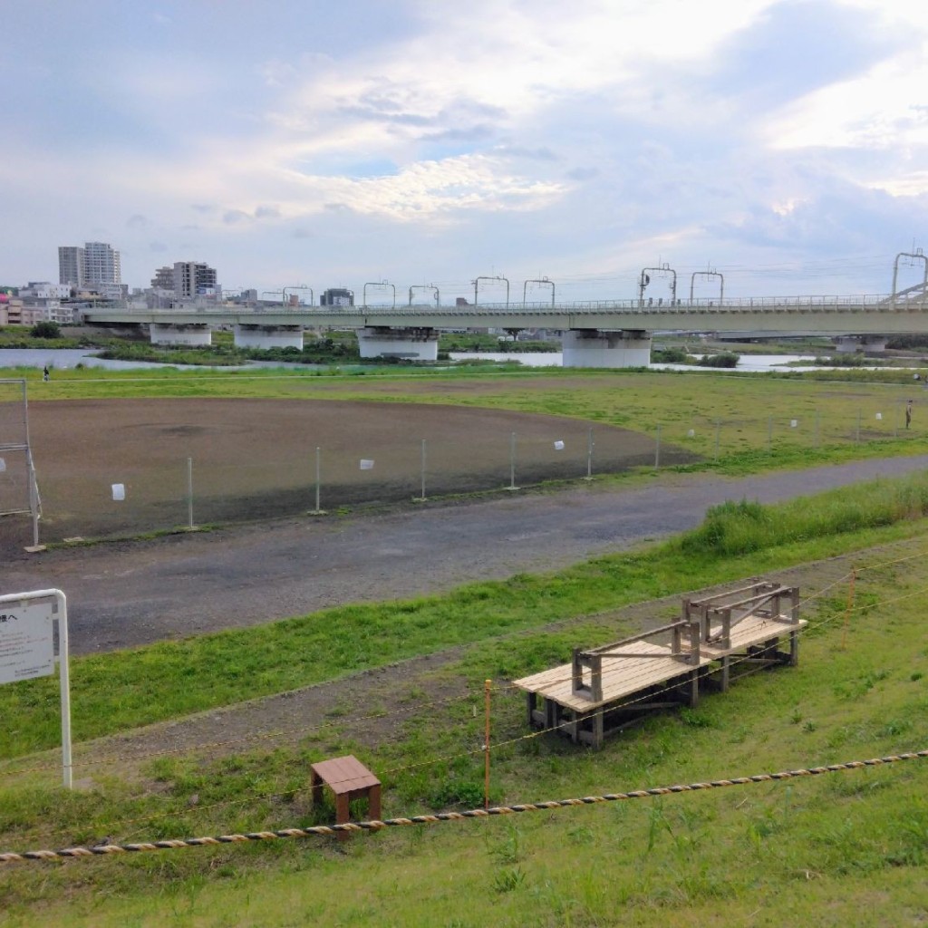 実際訪問したユーザーが直接撮影して投稿した河川多摩川の写真