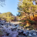 実際訪問したユーザーが直接撮影して投稿した草津公園西の河原公園の写真