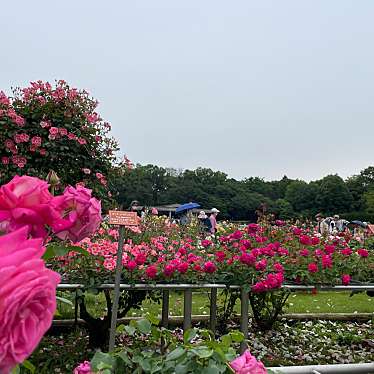 神代植物公園のundefinedに実際訪問訪問したユーザーunknownさんが新しく投稿した新着口コミの写真