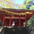 実際訪問したユーザーが直接撮影して投稿した朝熊町寺金剛證寺の写真