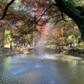 実際訪問したユーザーが直接撮影して投稿した加茂新田公園加茂山公園の写真