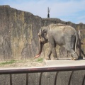 実際訪問したユーザーが直接撮影して投稿した船越町動物園九十九島動植物園 森きららの写真