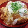 満腹カツ丼 - 実際訪問したユーザーが直接撮影して投稿した難波丼ものカツリの写真のメニュー情報