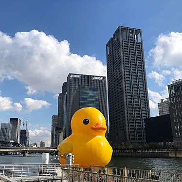 実際訪問したユーザーが直接撮影して投稿した福島ショッピングモール / センターほたるまちの写真