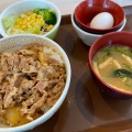 牛丼並 - 実際訪問したユーザーが直接撮影して投稿した安堀町牛丼すき家 伊勢崎フォリオ店の写真のメニュー情報