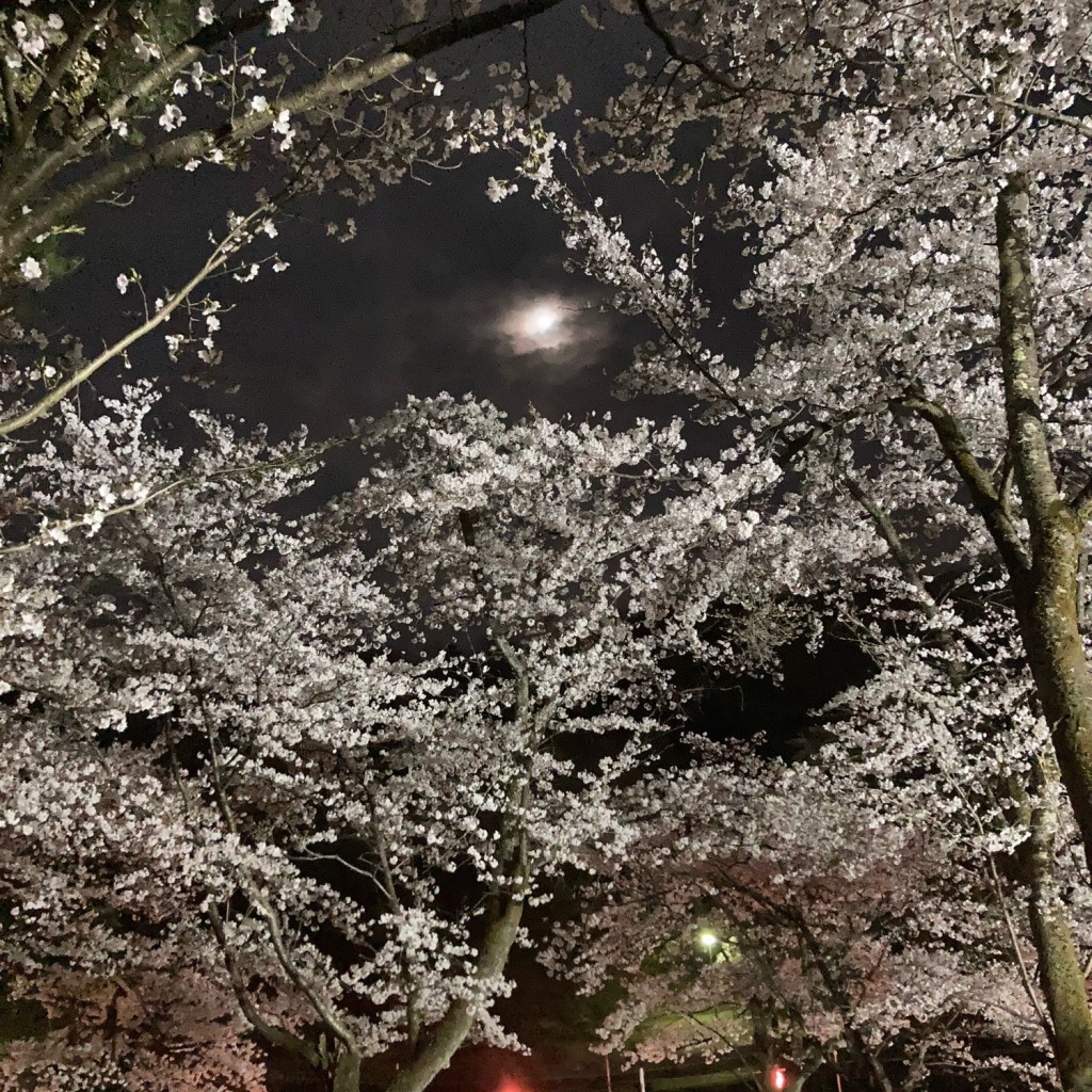 YUN722さんが投稿した悠久町神社のお店蒼柴神社/アオシジンジャの写真