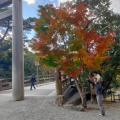 実際訪問したユーザーが直接撮影して投稿した宇治館町地域名所宇治橋の写真