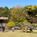 実際訪問したユーザーが直接撮影して投稿した赤松町遊園地 / テーマパークデンパーク ディノランドの写真