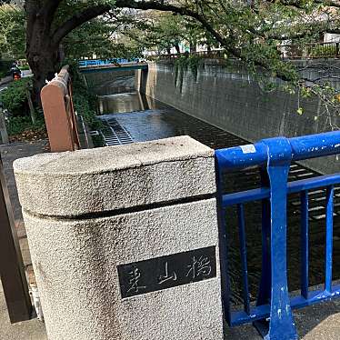 実際訪問したユーザーが直接撮影して投稿した東山橋東山橋の写真