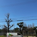 実際訪問したユーザーが直接撮影して投稿した大淀南公園浦江公園の写真