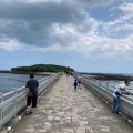 実際訪問したユーザーが直接撮影して投稿した青島神社青島神社の写真