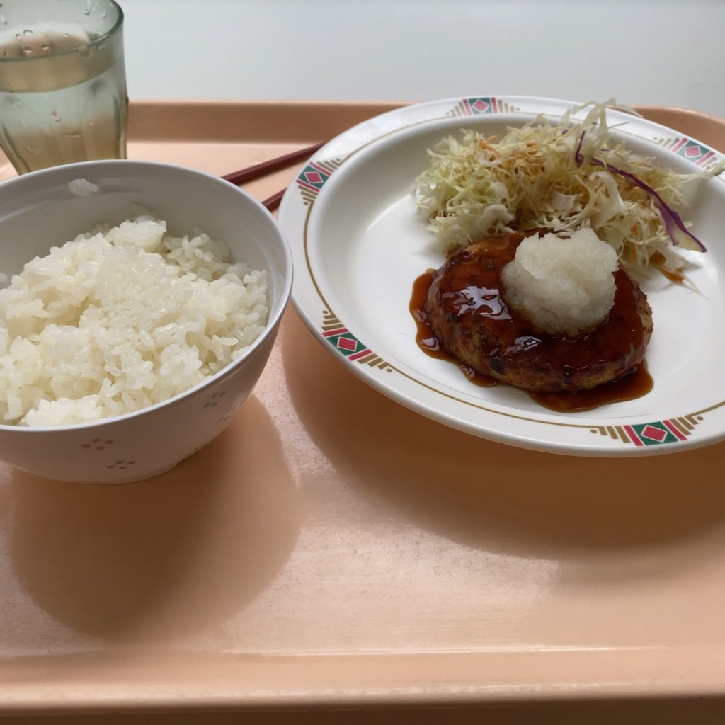 ユーザーが投稿した組  豆腐バーグ照り焼きソースの写真 - 実際訪問したユーザーが直接撮影して投稿した弥生学食 / 職員食堂農学部食堂の写真