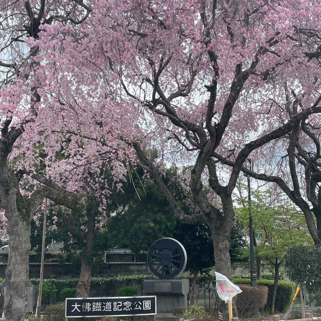 実際訪問したユーザーが直接撮影して投稿した法蓮町公園大佛鐵道記念公園の写真