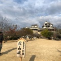 実際訪問したユーザーが直接撮影して投稿した丸之内城 / 城跡松山城の写真