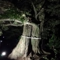 実際訪問したユーザーが直接撮影して投稿した音無町神社音無神社の写真