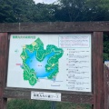 実際訪問したユーザーが直接撮影して投稿した公園篠栗九大の森の写真