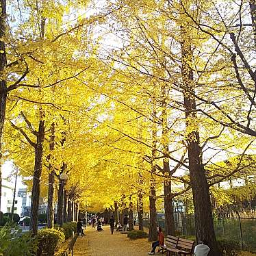 実際訪問したユーザーが直接撮影して投稿した元今泉公園宇都宮駅東公園の写真