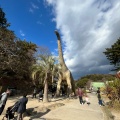 実際訪問したユーザーが直接撮影して投稿した欠町動物園岡崎市東公園 動物園の写真