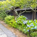 実際訪問したユーザーが直接撮影して投稿した山ノ内寺東慶寺の写真