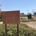 実際訪問したユーザーが直接撮影して投稿した中央公園けやき通りポケットパークの写真