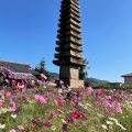 実際訪問したユーザーが直接撮影して投稿した般若寺町寺法性山 般若寺の写真