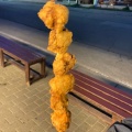 実際訪問したユーザーが直接撮影して投稿した軽井沢鶏料理王様鶏排の写真