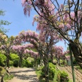 実際訪問したユーザーが直接撮影して投稿した東土堂町寺尾道 大宝山 千光寺の写真