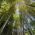 実際訪問したユーザーが直接撮影して投稿した山ノ内カフェ明月院 月笑軒の写真