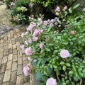 実際訪問したユーザーが直接撮影して投稿した大林町庭園ガーデニングミュージアム 花遊庭の写真