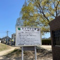 実際訪問したユーザーが直接撮影して投稿した山本公園みどりの公園の写真