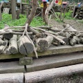 実際訪問したユーザーが直接撮影して投稿した薬師台動物園町田リス園の写真