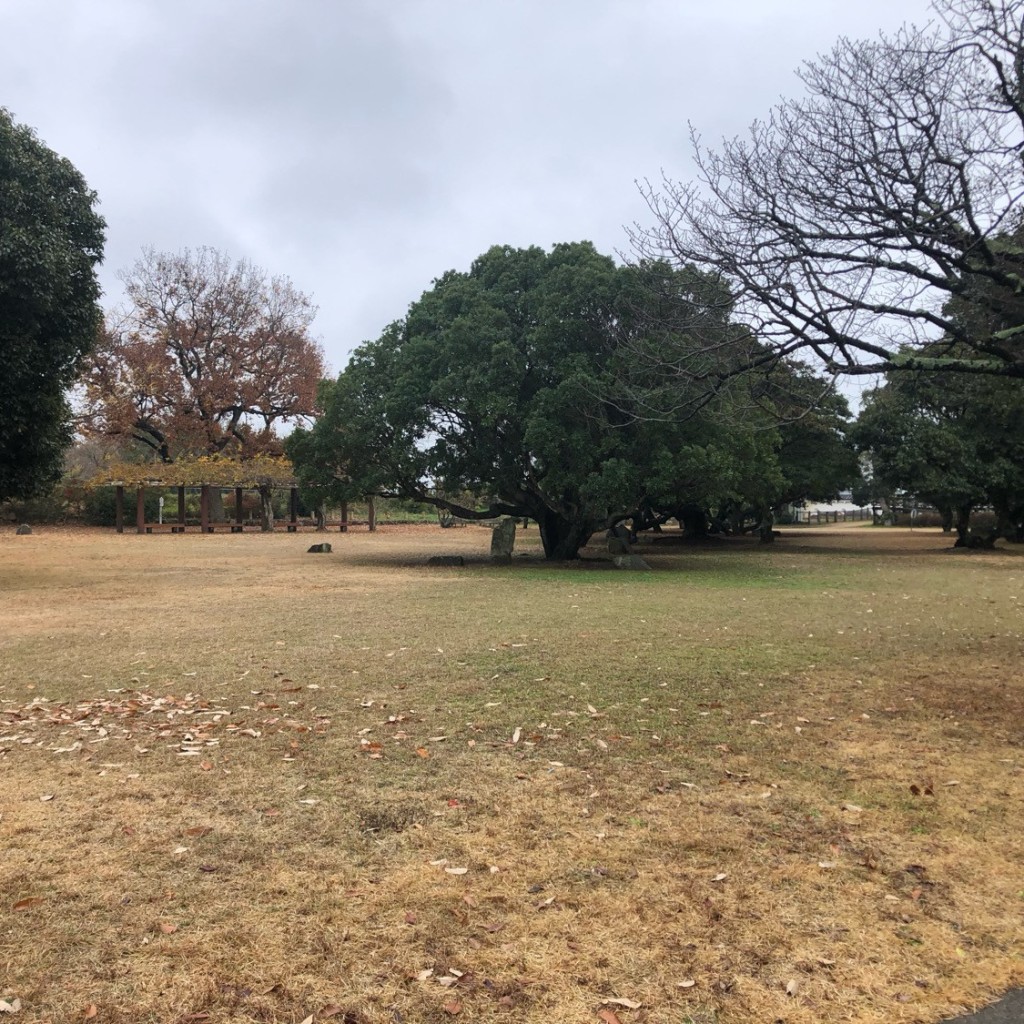 実際訪問したユーザーが直接撮影して投稿した明石公園城 / 城跡明石城 本丸跡の写真