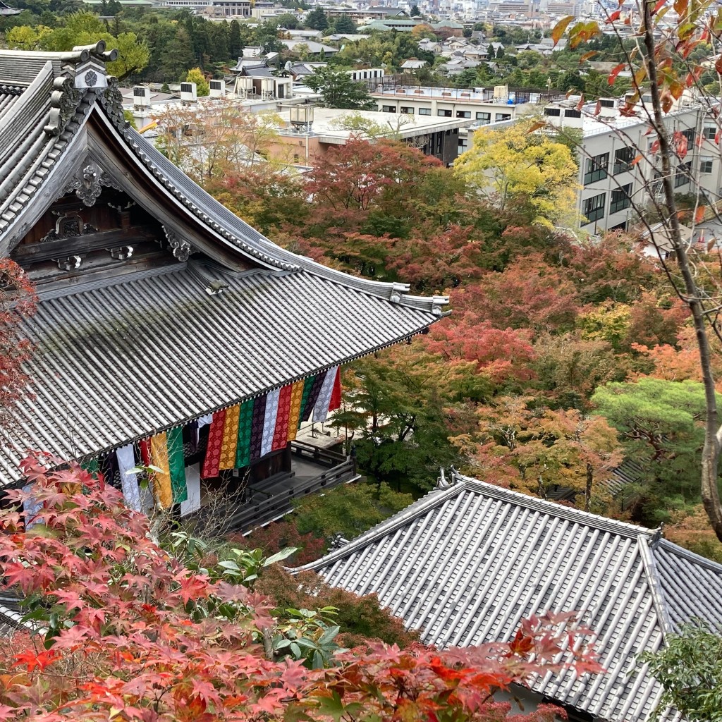 マグノリアうさぎさんが投稿した永観堂町寺のお店禅林寺 (永観堂)/ゼンリンジ エイカンドウの写真