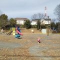 実際訪問したユーザーが直接撮影して投稿した美しが丘西公園美しが丘西早渕台公園の写真