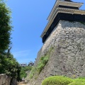 実際訪問したユーザーが直接撮影して投稿した丸之内城 / 城跡松山城の写真