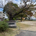 実際訪問したユーザーが直接撮影して投稿した作の山町公園作の山公園の写真