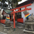 実際訪問したユーザーが直接撮影して投稿した姫島神社姫嶋神社の写真