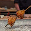 実際訪問したユーザーが直接撮影して投稿した吉田本町焼鳥炭火串焼き 登鶏の写真