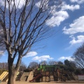 実際訪問したユーザーが直接撮影して投稿した関野町公園小金井公園わんぱく山の写真