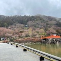 実際訪問したユーザーが直接撮影して投稿した寺勝尾寺の写真